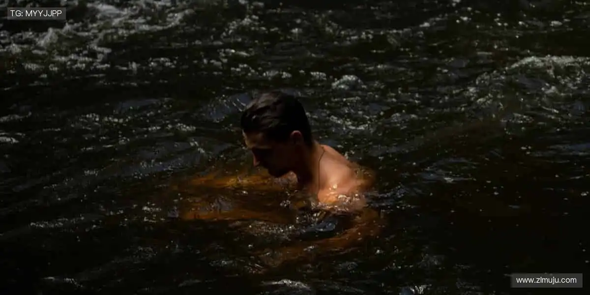 📺 高清直播，实时互动！不错过每一个心跳瞬间！